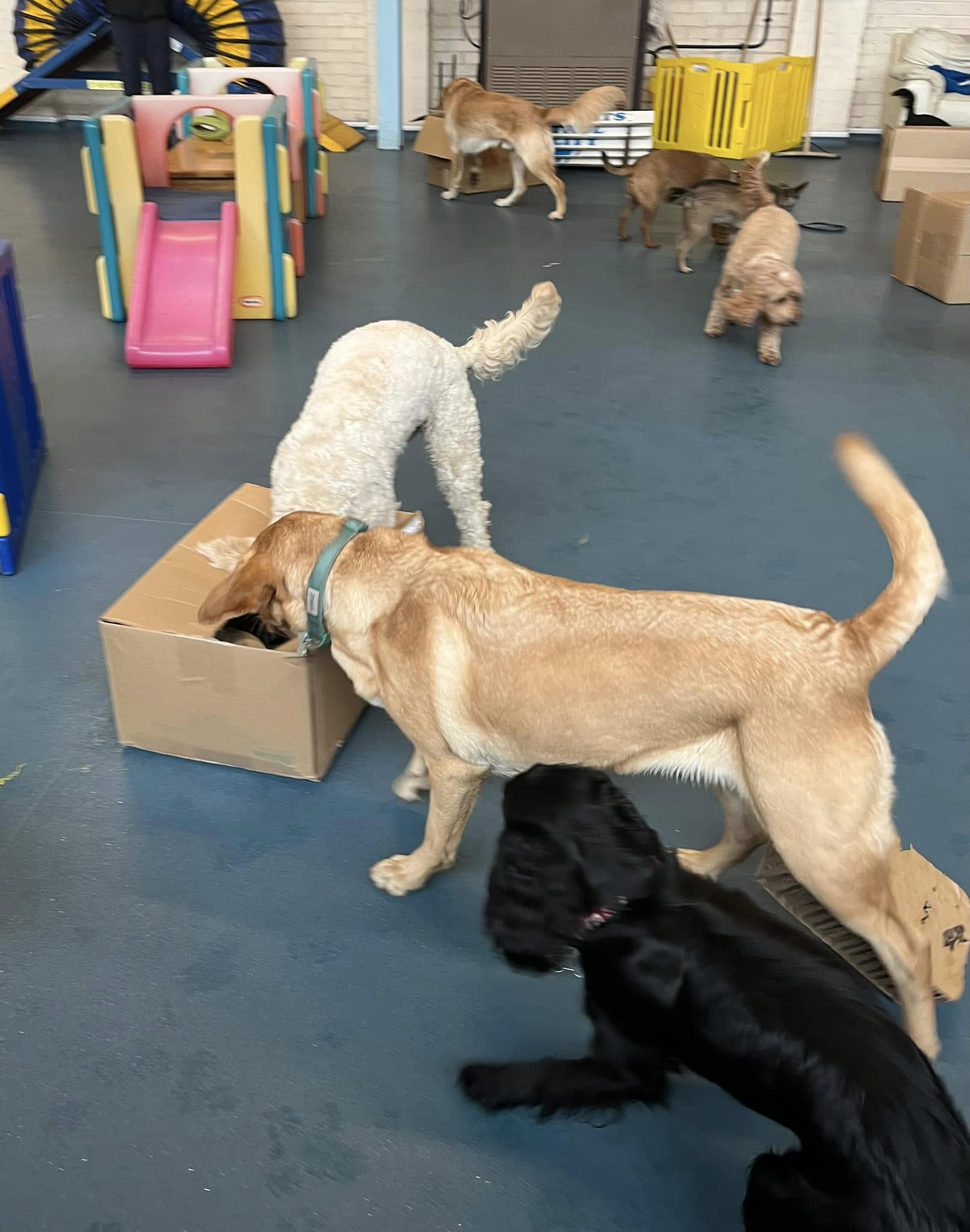 daycare