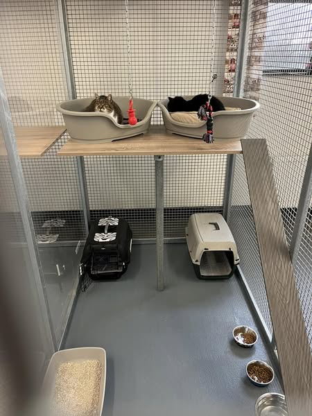 dogkennel